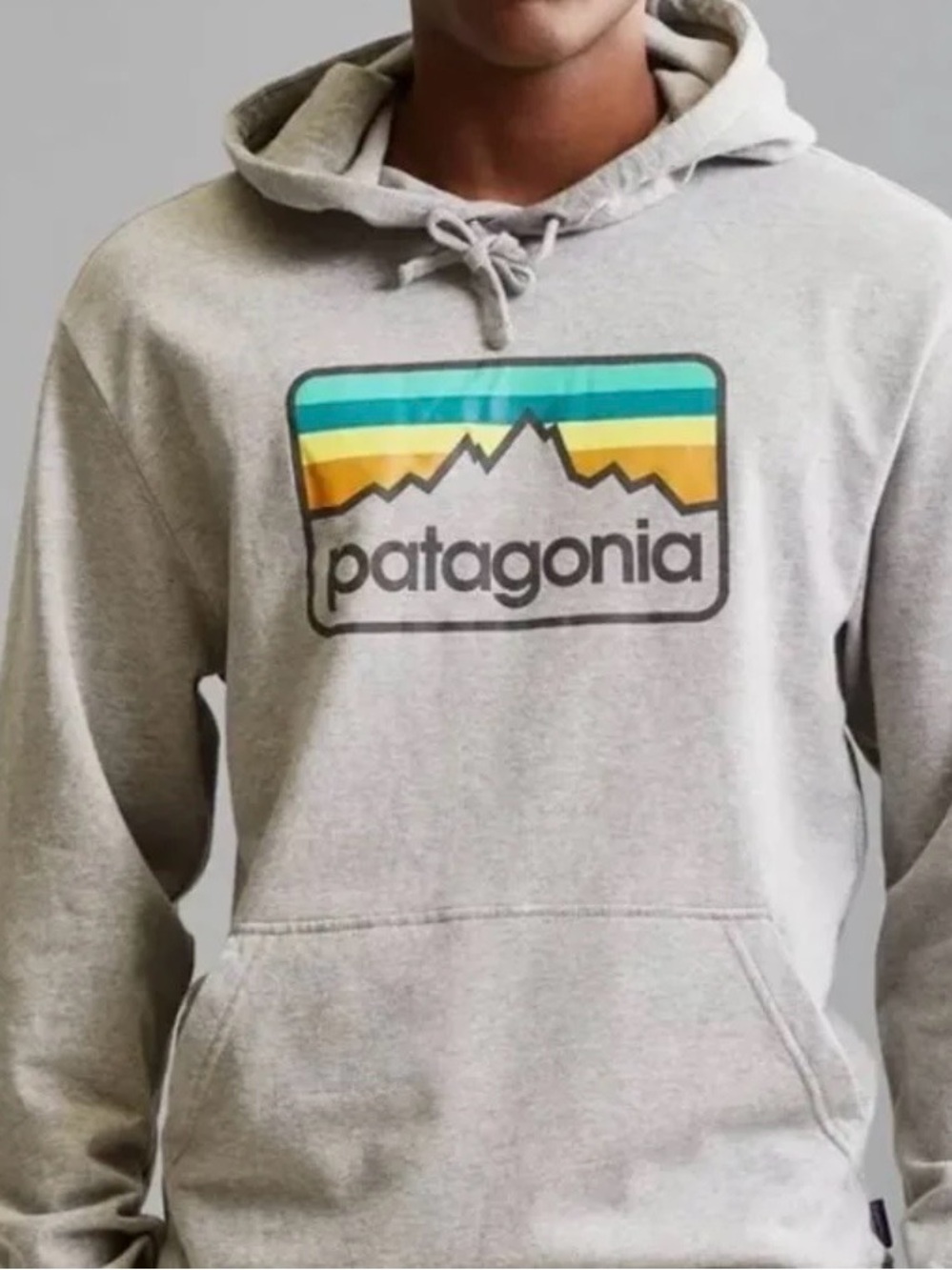 Patagonia Men's Line Logo Badge Lightweight Hoody Size Large